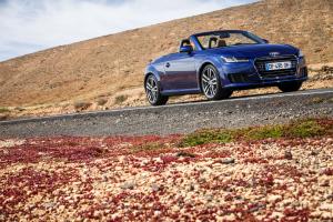 Audi TT Roadster 2.0 TDI Ultra 2014 года  (WW)
